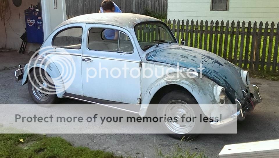 BEETLE_zpsmi7ghn7v.jpg