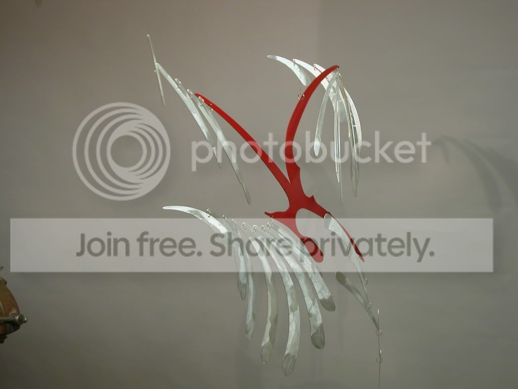 DSCN8487.jpg