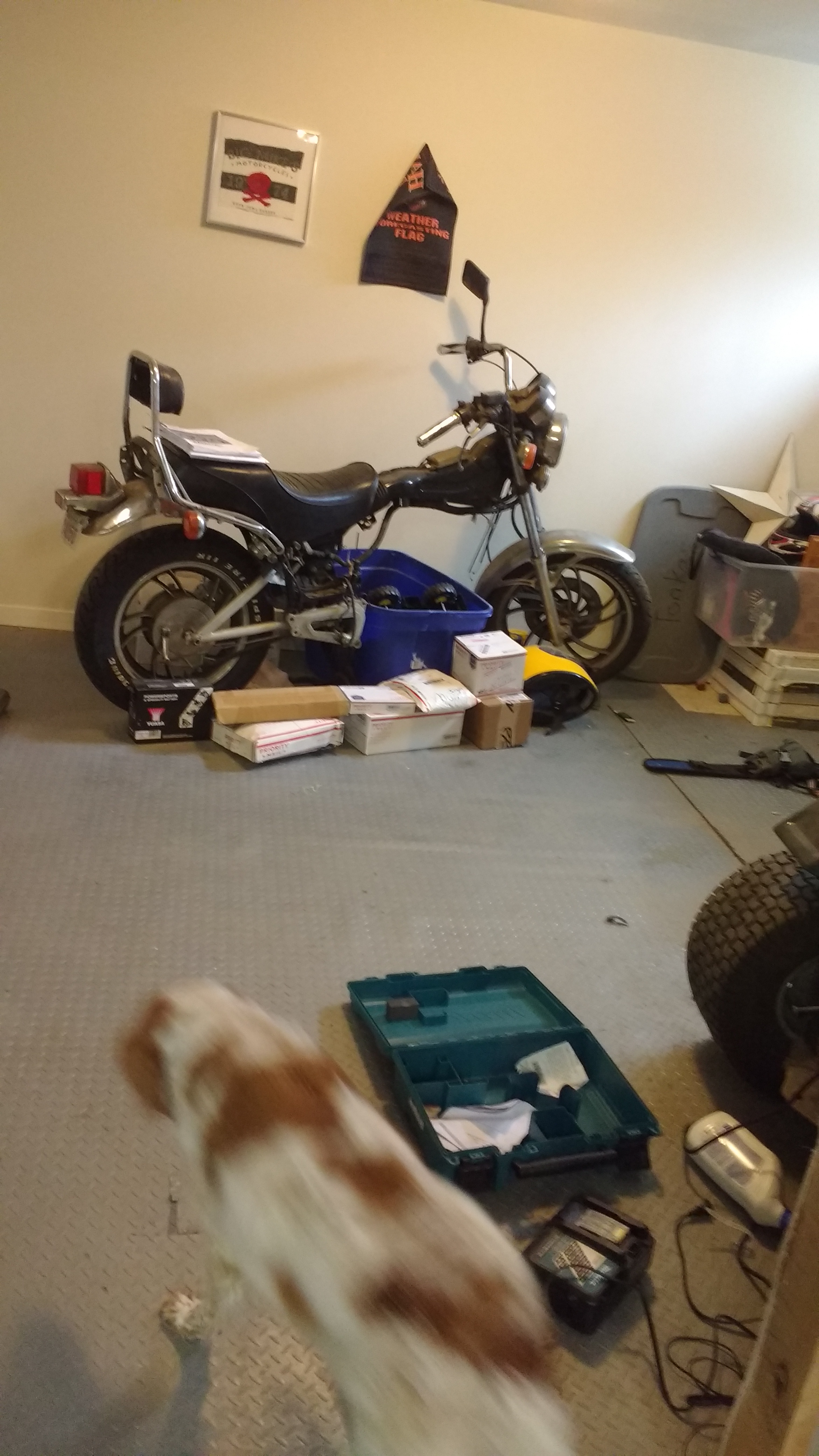 1732-060517104311.jpeg