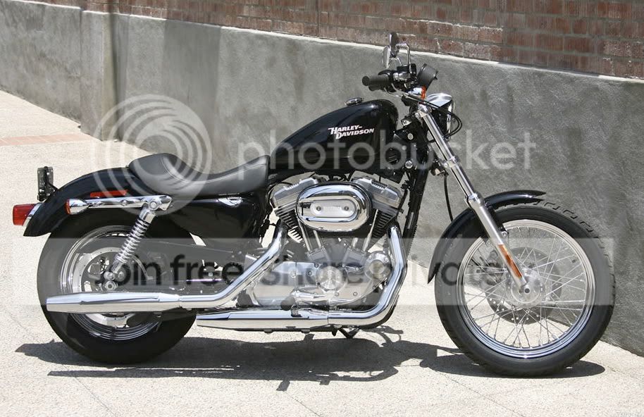 Harley_Davidson_XL_883_Sportster_2008_3.jpg