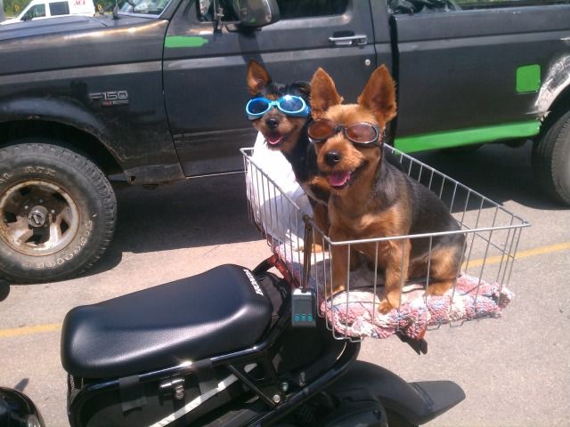IMAG0976.jpg