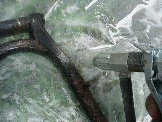 DSCN6288.jpg