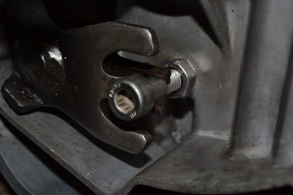 DSC_5687.jpg