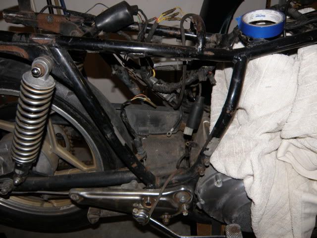 P8233689.jpg
