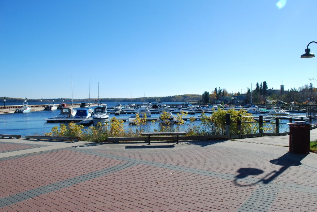DSC_0116.jpg