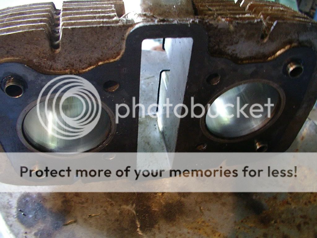 IMGP2771.jpg