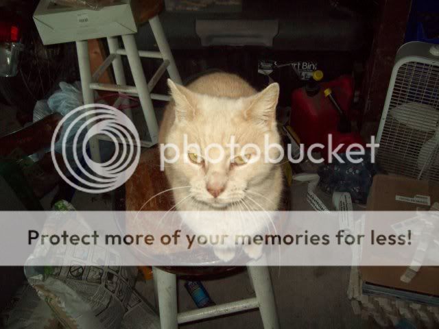 100_2339.jpg