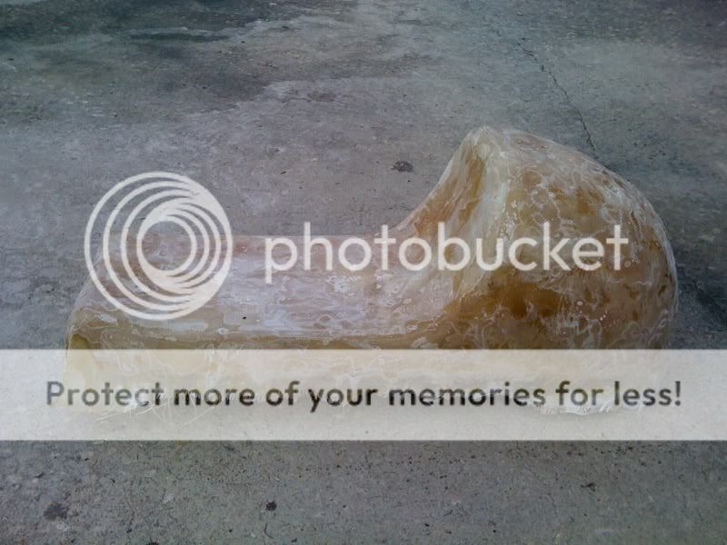 photo14-1.jpg