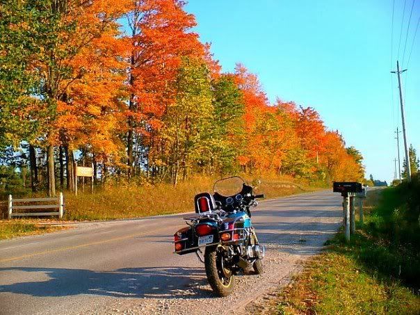 Fallcolours-1.jpg
