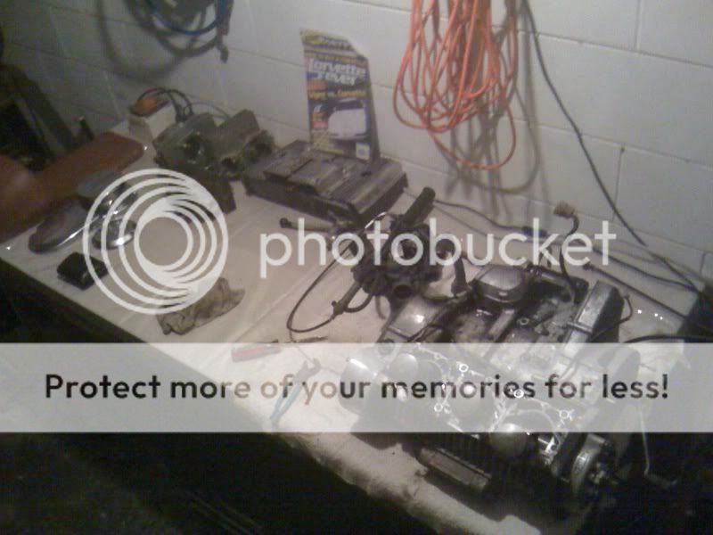 photo96.jpg