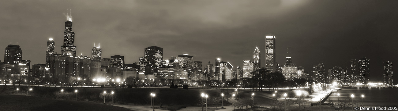 chicago-skyline-at-night_8552.jpg