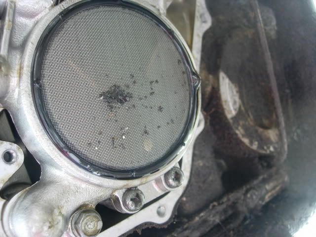 DSCN6207.jpg