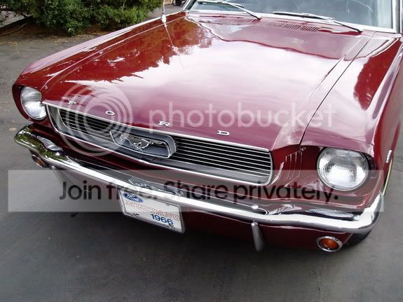frontdetail.jpg