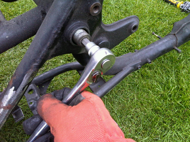 img00550.jpg