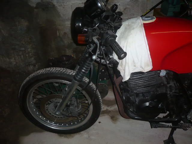 P1010154.jpg
