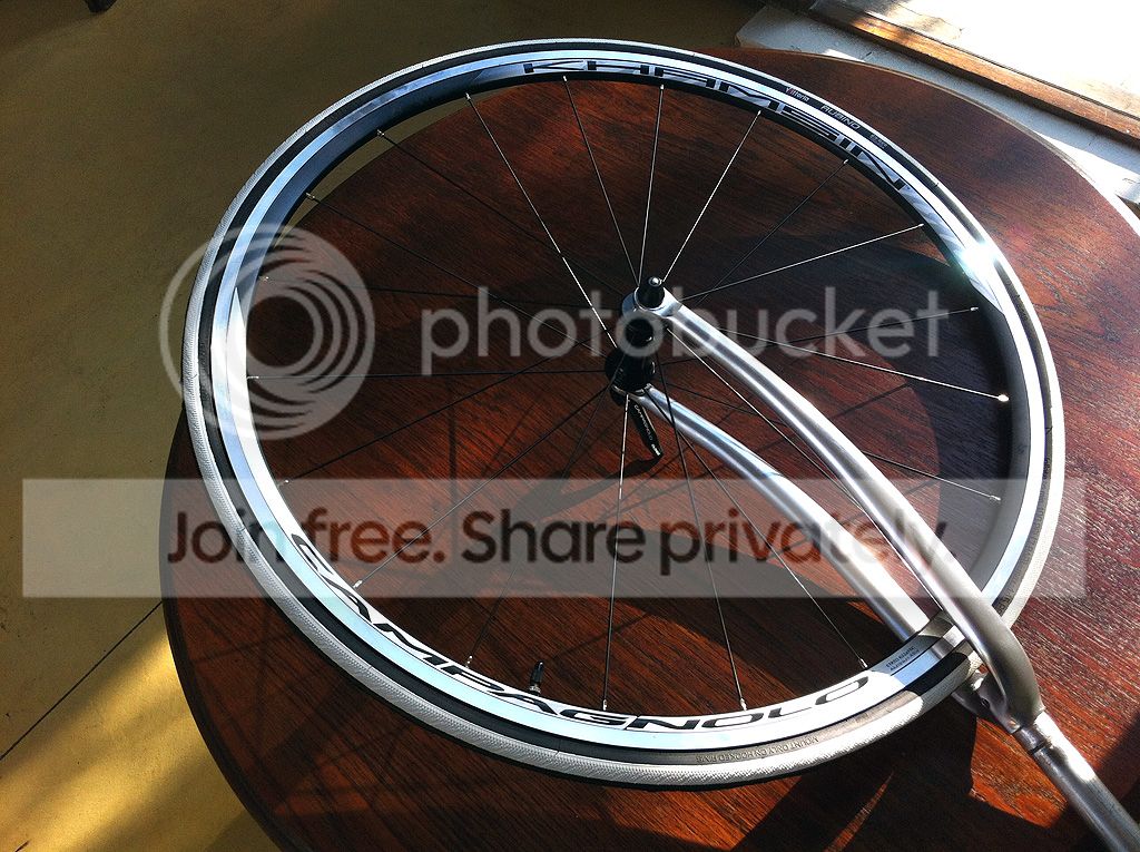 wheel_front_fork.jpg