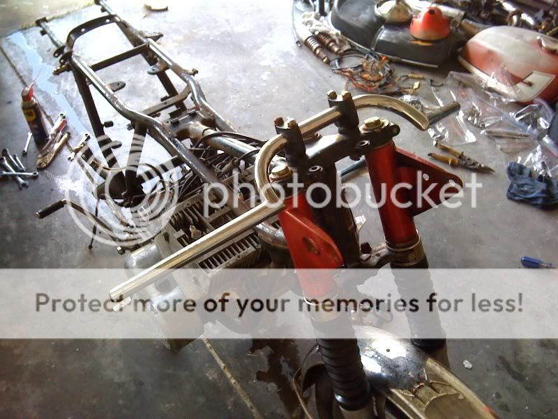 photo7.jpg