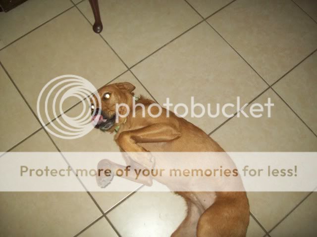 100_2340.jpg