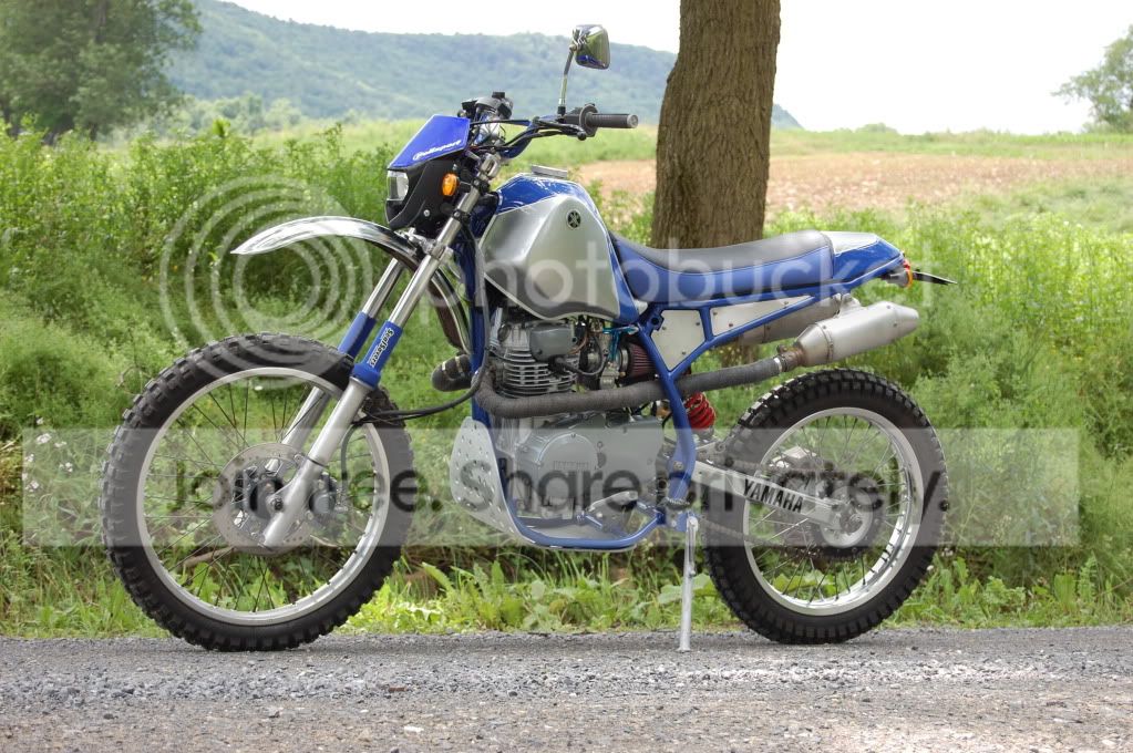 DSC_0383.jpg