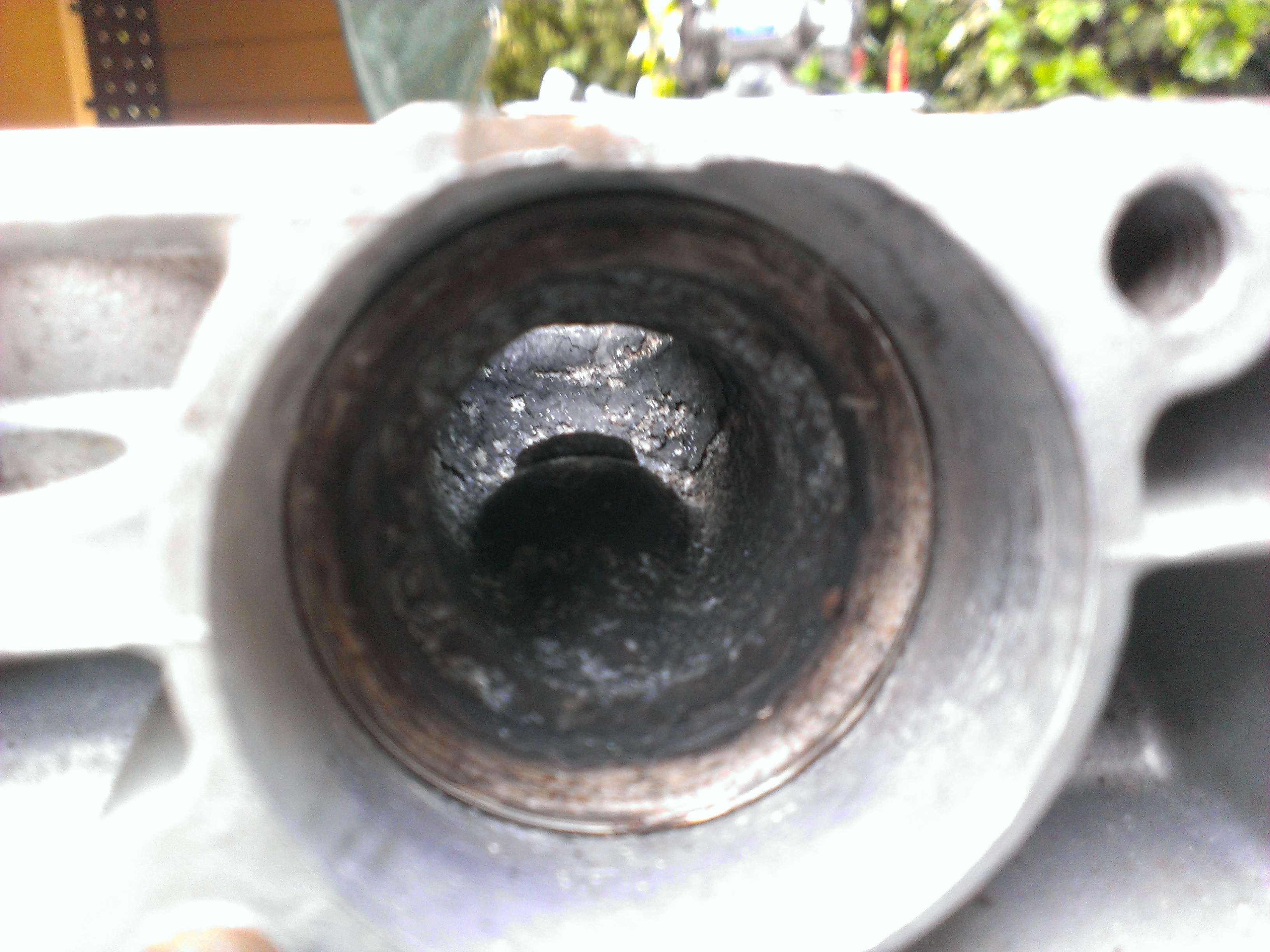 imag0385lu.jpg