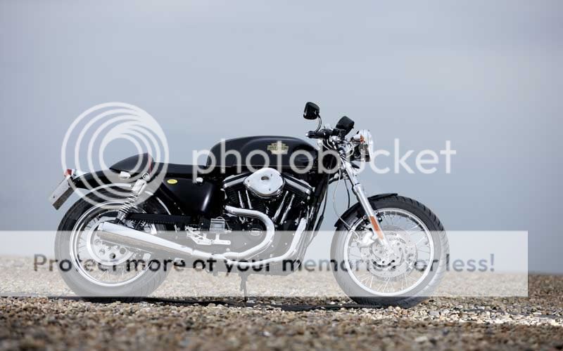 Harley-16.jpg