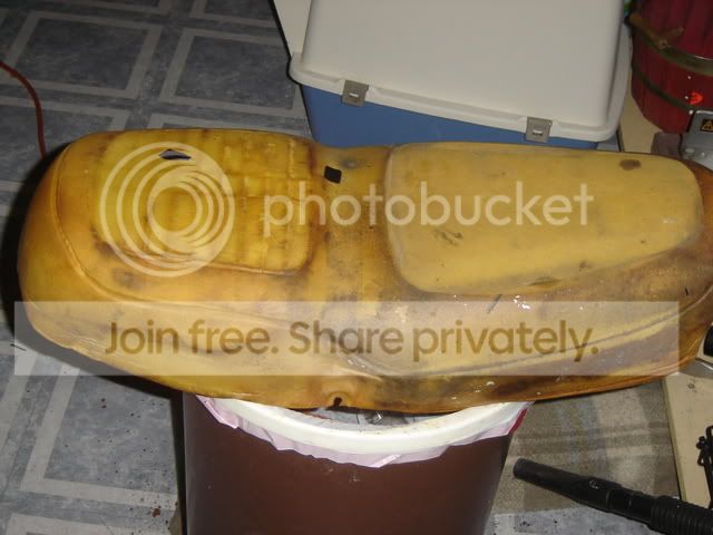 DSC03747.jpg