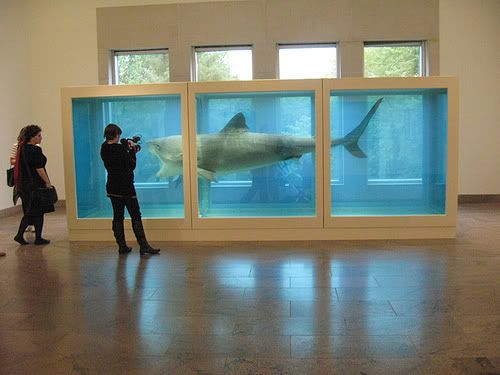 pickled-shark-damien-hirst.jpg