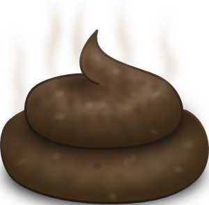 12117618342049654957DooFi_Turd.svg.med.png