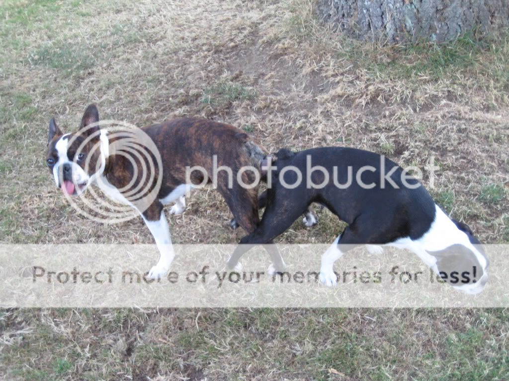 IMG_1516.jpg