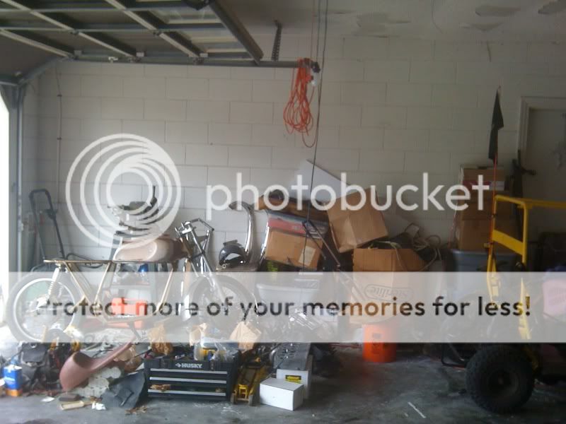 photo81.jpg