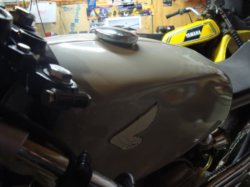 DSC01231.jpg