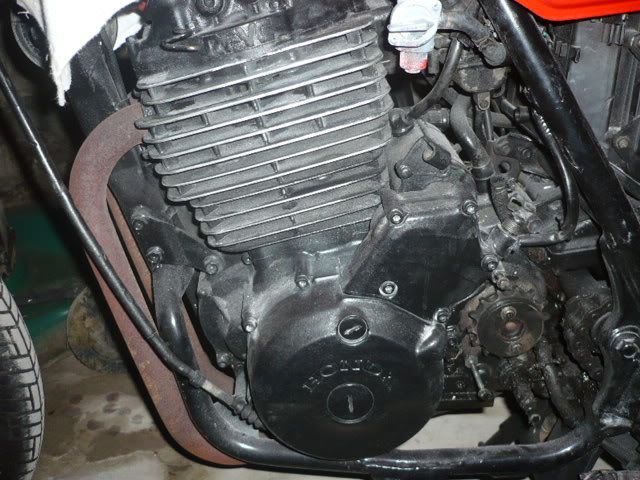 P1010153.jpg