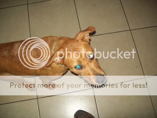 100_2341.jpg