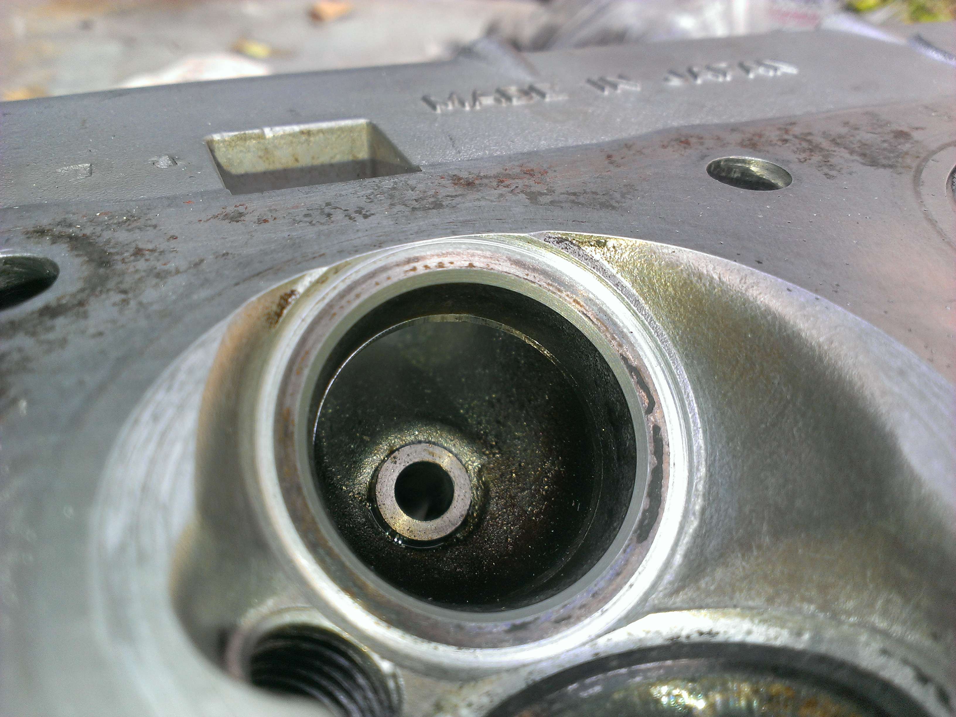 imag0378lr.jpg