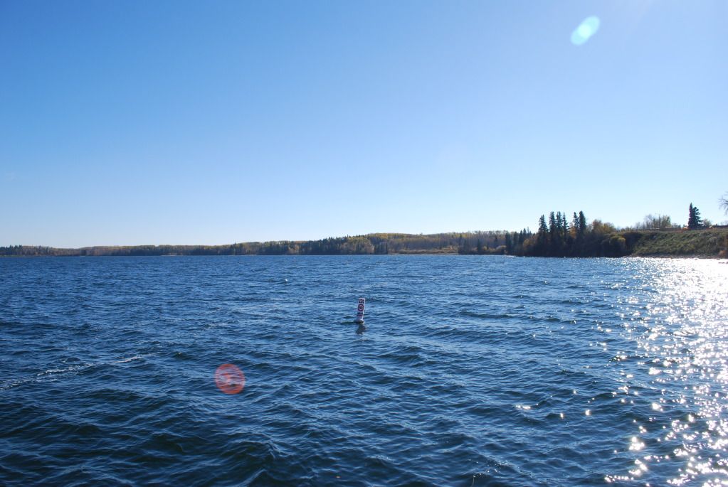 DSC_0119.jpg