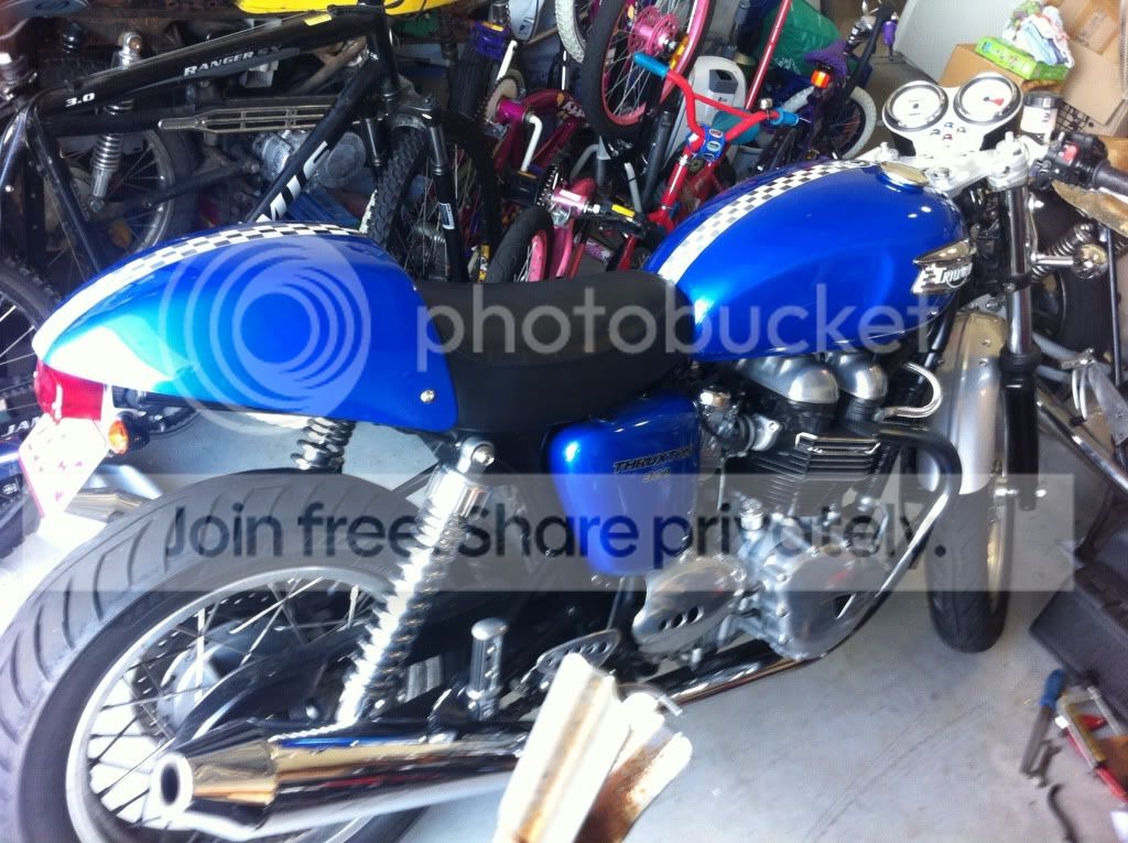F3208591.jpg