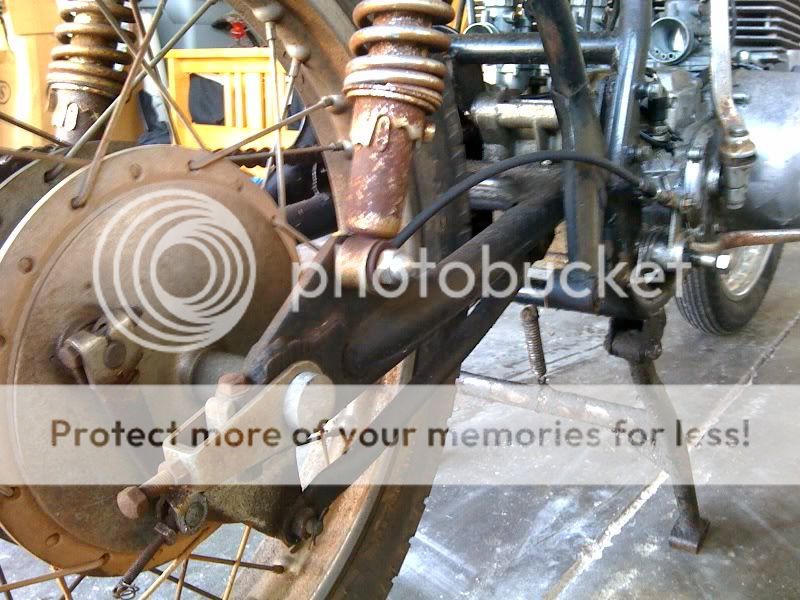 photo9.jpg