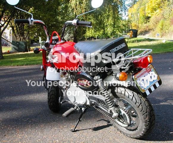 panda008.jpg