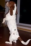 fred5-mar09.jpg