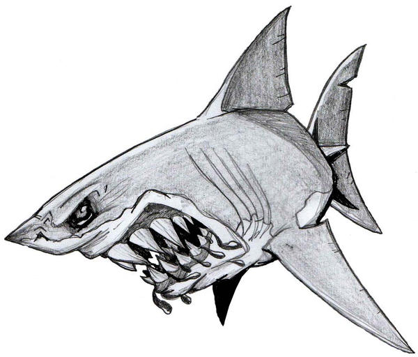 sharky_by_pibraclab.jpg