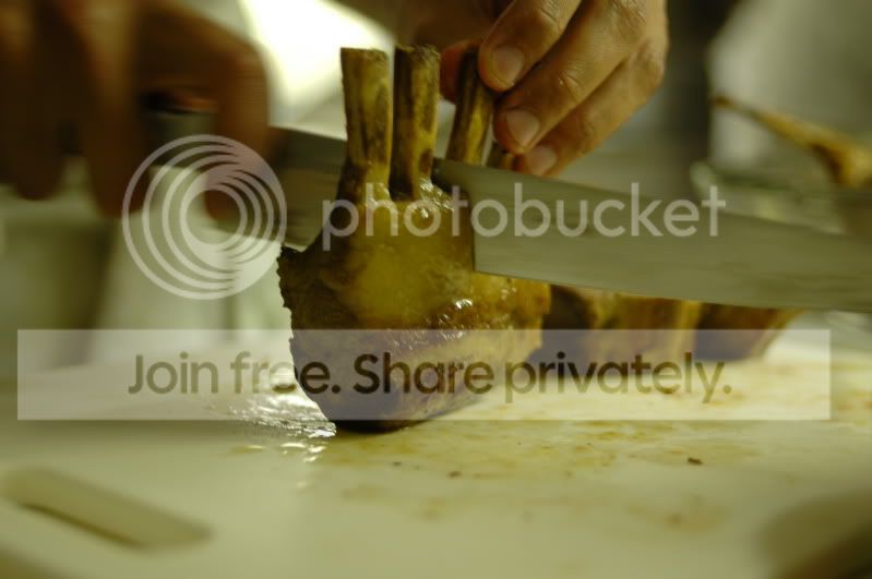 DSC_5551.jpg
