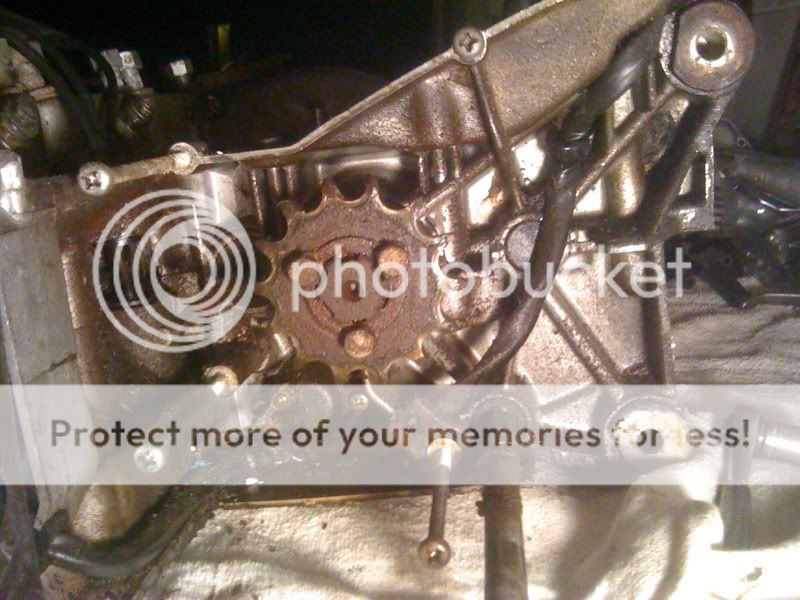 photo101.jpg