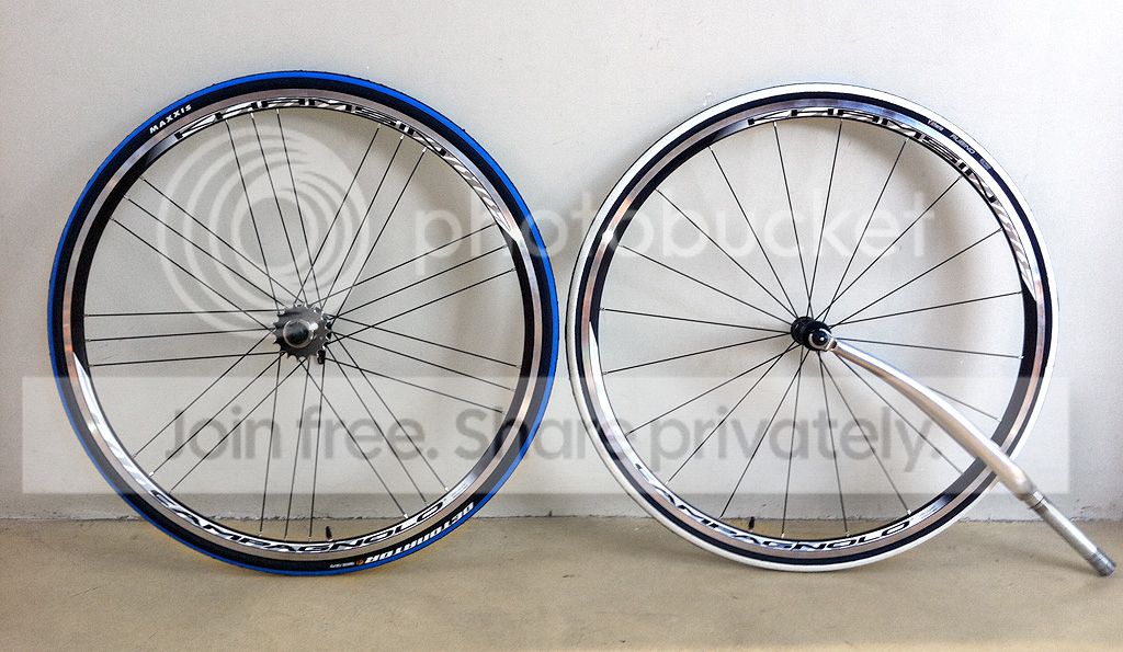 Blue_Tyre.jpg