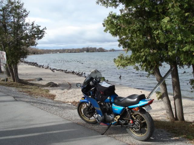 DSC04634.jpg