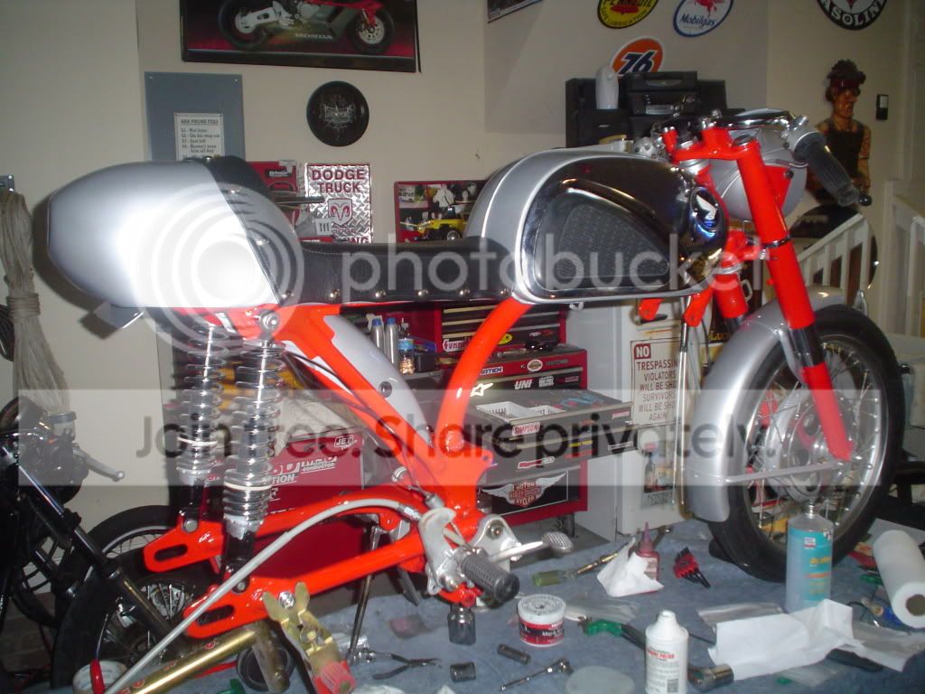 cb77034.jpg