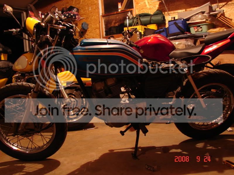 DSC01354.jpg