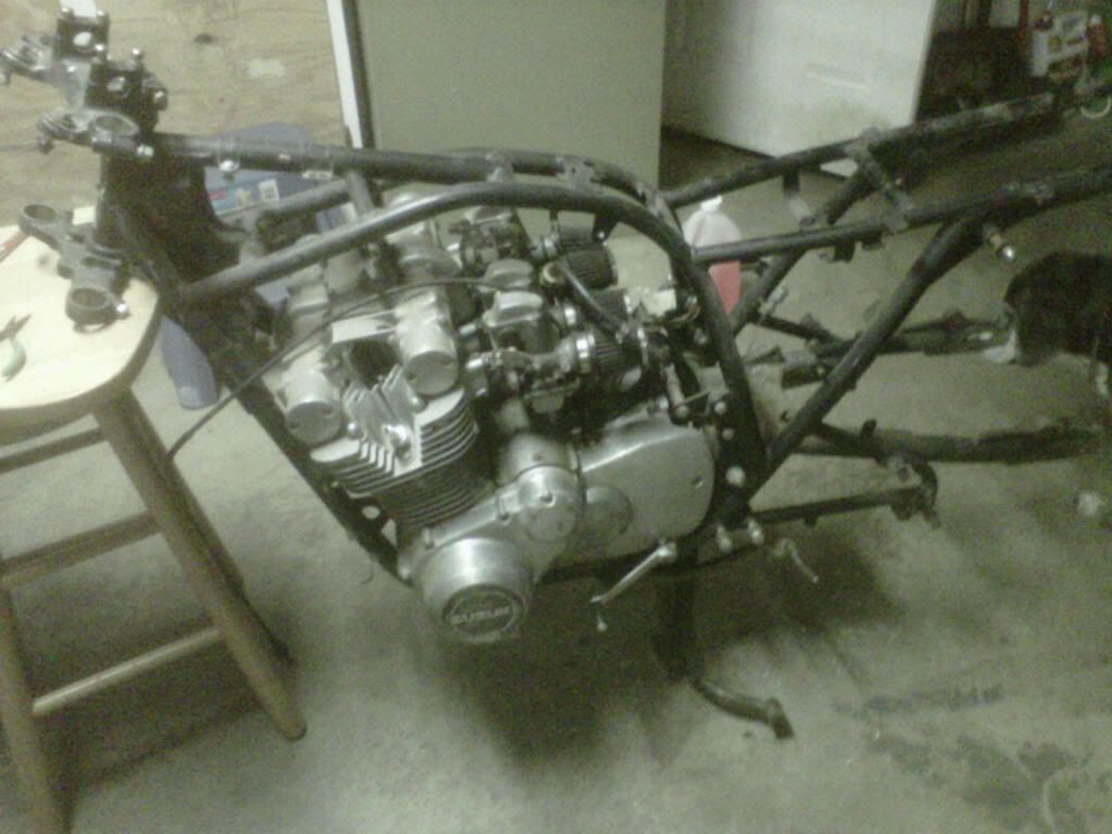 IMG00082-20111107-0451.jpg