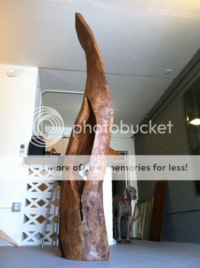 Sculpt2_zps248fe675.jpg