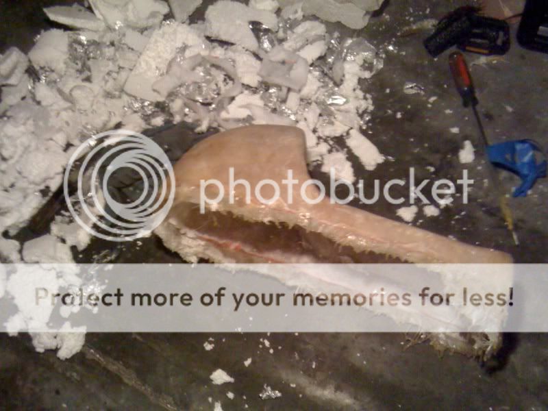 photo63.jpg