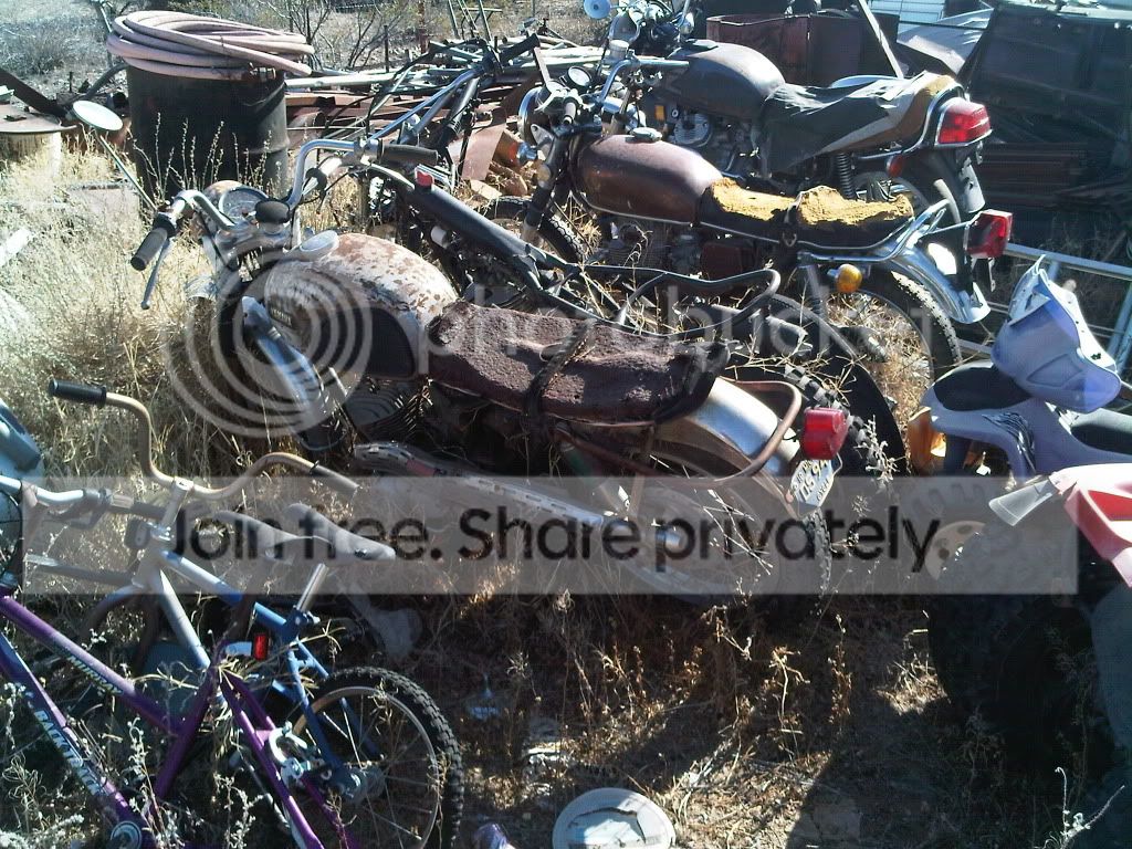 allthreebikes.jpg